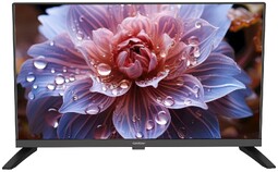 GOLDSTAR 24"  LT-24R1000 телевизор
