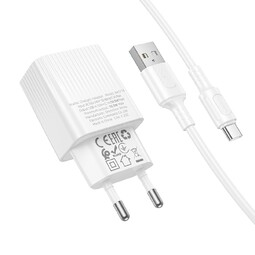 BOROFONE BAS71A Source USB 2.1А 10.5W White с кабелем  USB-Type-C cетевое ЗУ