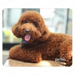 PERFEO PF_E1687 Dog, Рис.1 коврик для компьютерной мыши